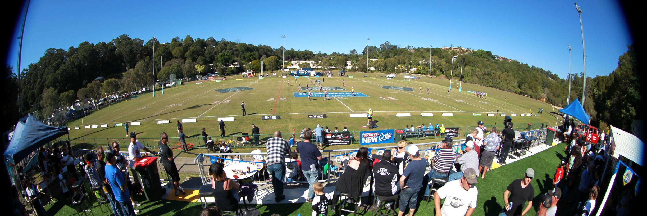 Tweed Heads Seagulls banner