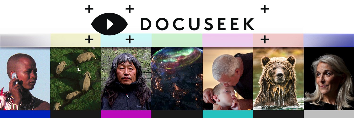 Docuseek2 banner
