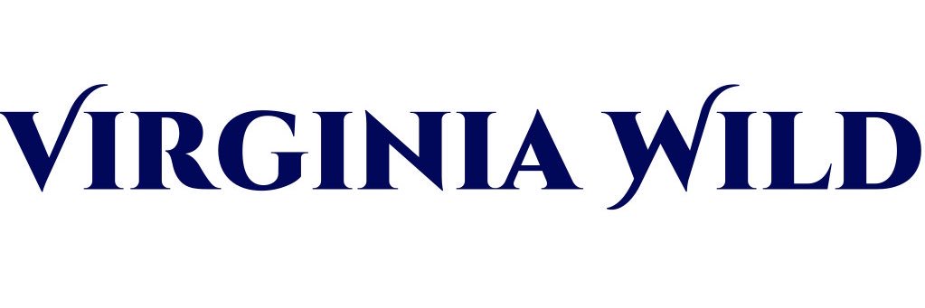 Virginia_Wild's profile banner image