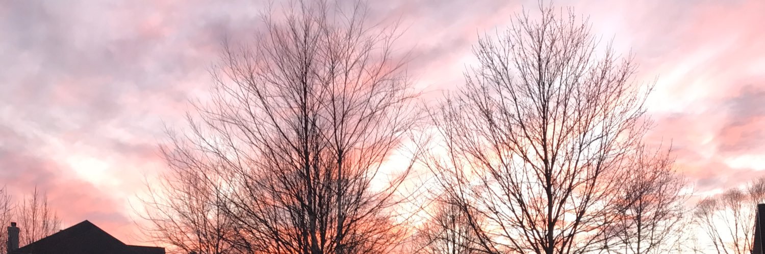 averyec0205's profile banner image
