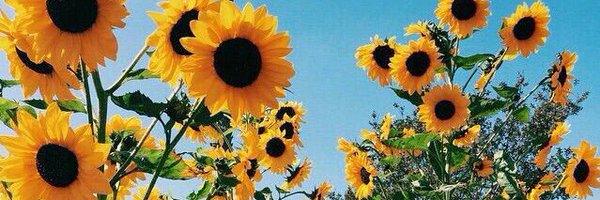 JustAHassel Profile Banner