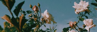 _solangerika's profile banner image