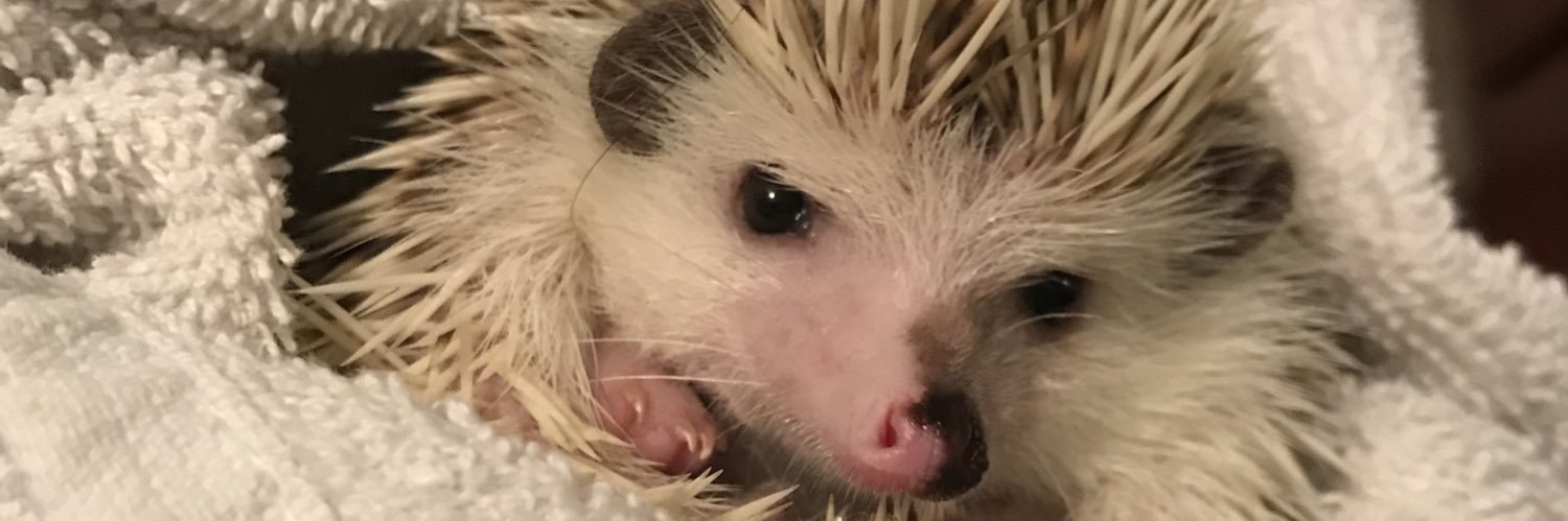 LLEXII___'s profile banner image