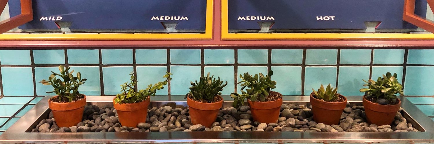 DosCoyotesBorderCafe banner