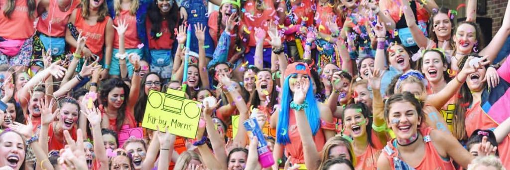 LSU Pi Beta Phi banner