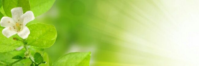 zhbib's profile banner image