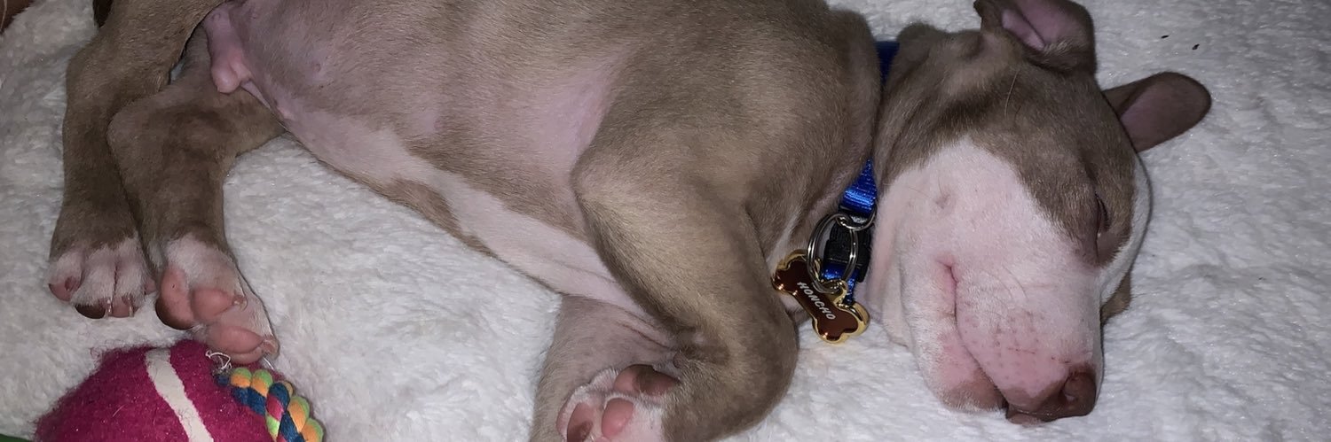 🔥GoatTrader🔥 banner