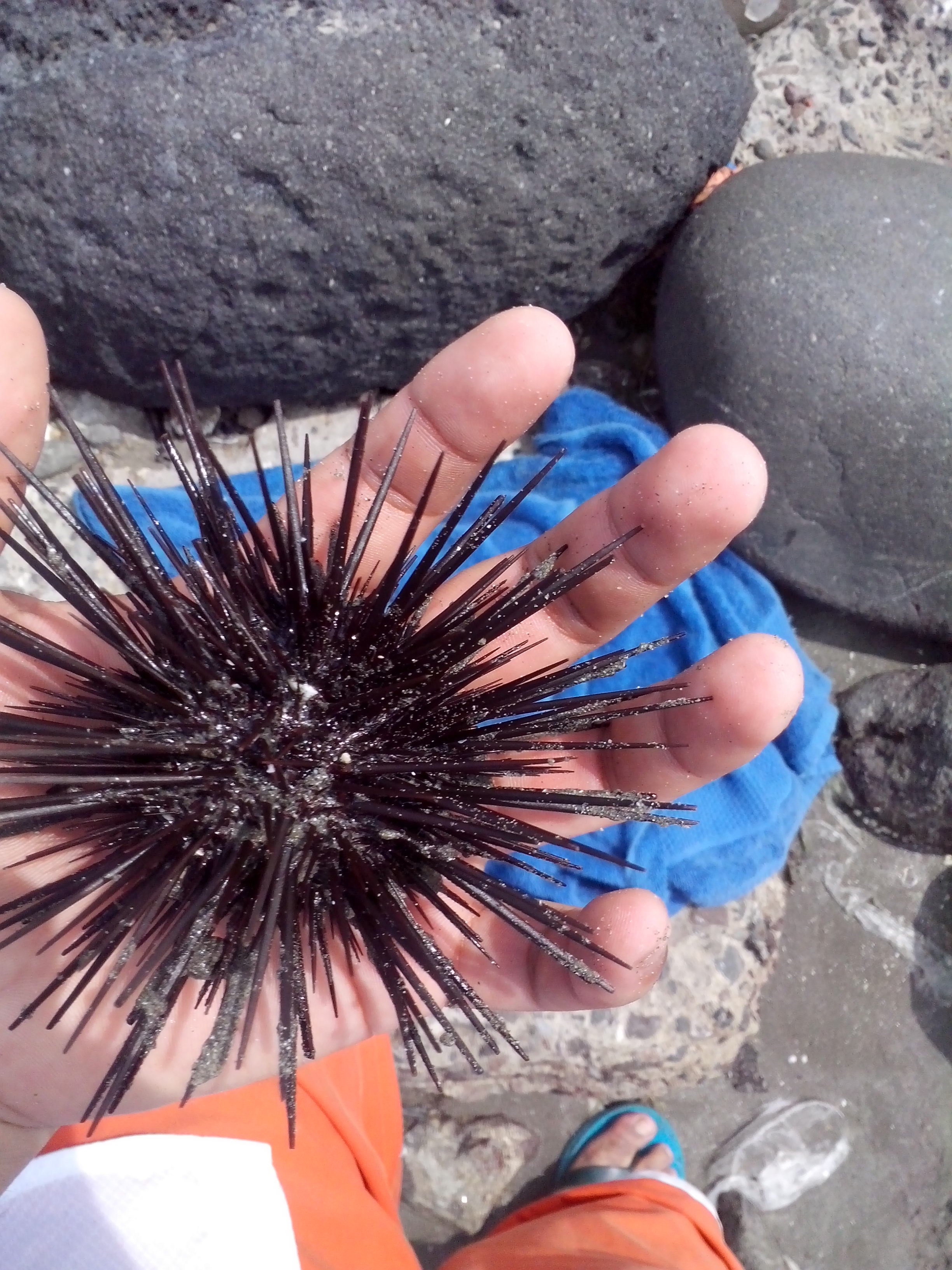davidquintero55's profile banner image