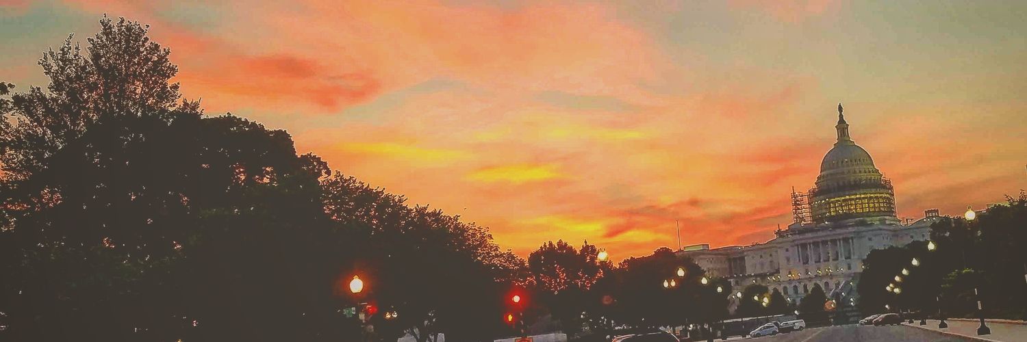 AmandaMFortner's profile banner image