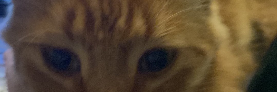 niffniff100's profile banner image