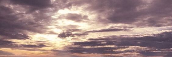 SHMEREA's profile banner image