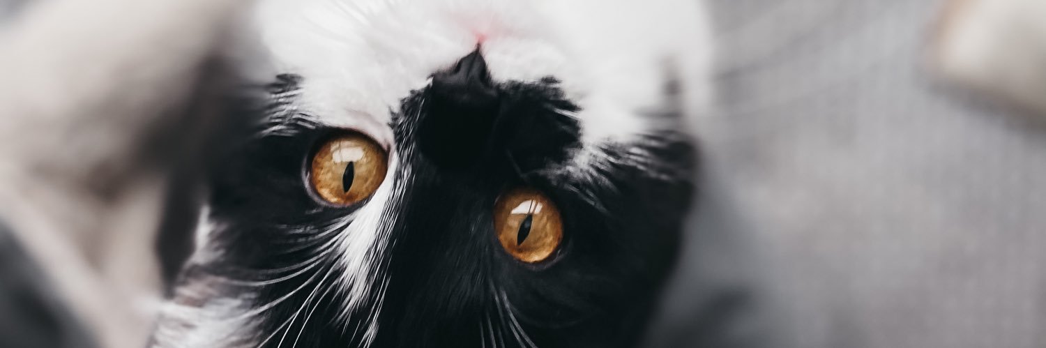malmalb123's profile banner image