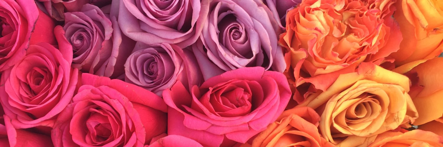 elyssawrites's profile banner image