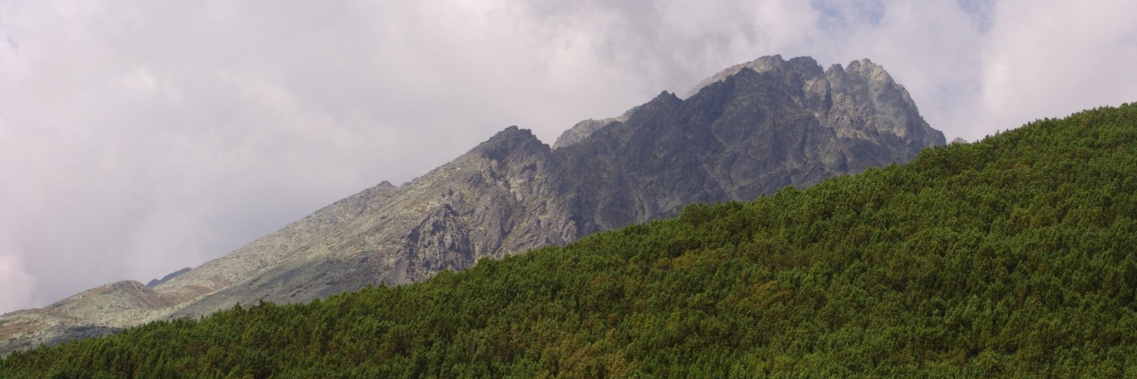 rmnvsl's profile banner image