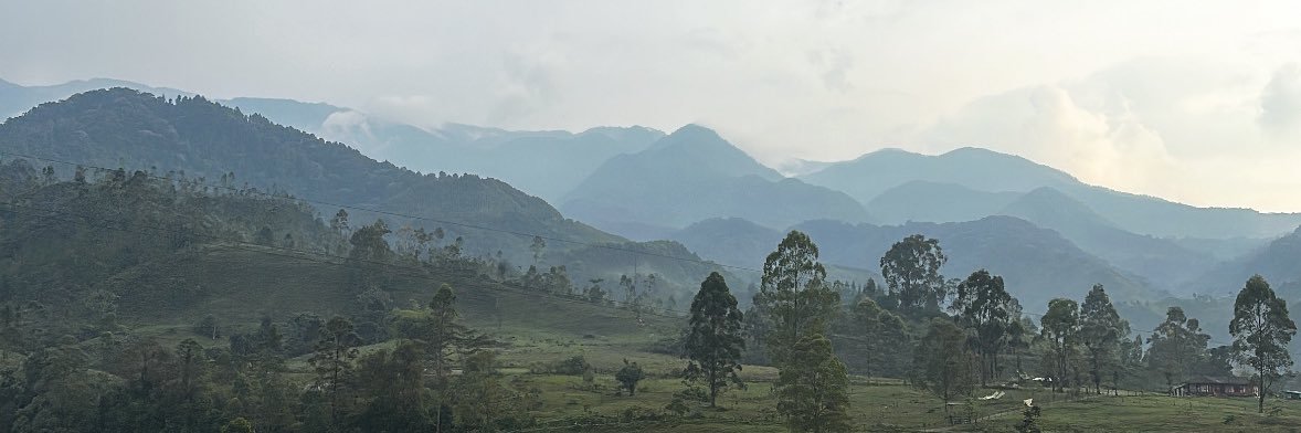 cadeskywalker's profile banner image