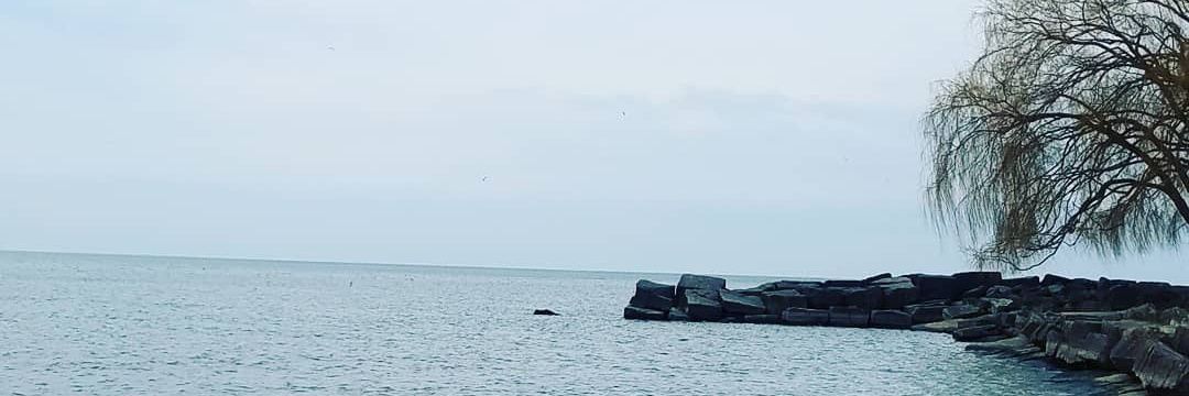 bai_rae's profile banner image