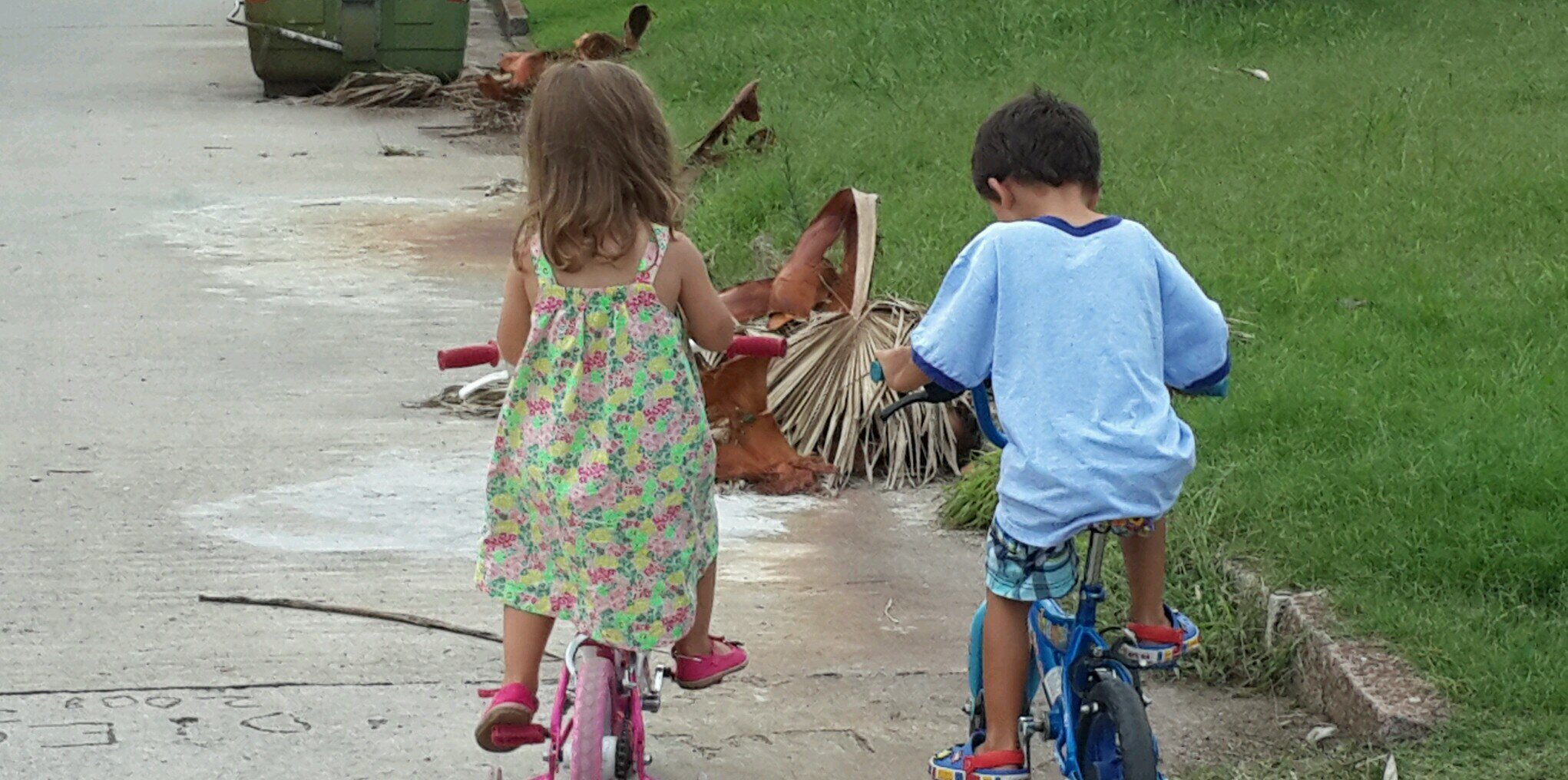 Carolina Gianola banner