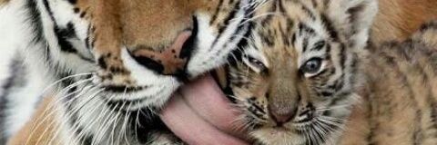 sergih85's profile banner image