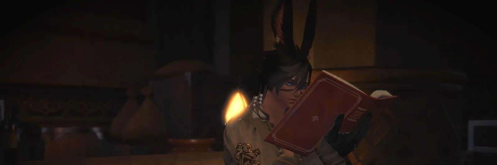Drakenguard13's profile banner image