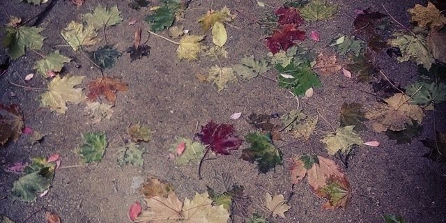 ee_valley's profile banner image