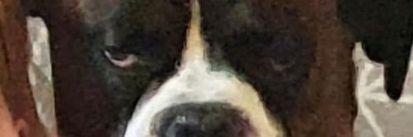 ryan_spy's profile banner image