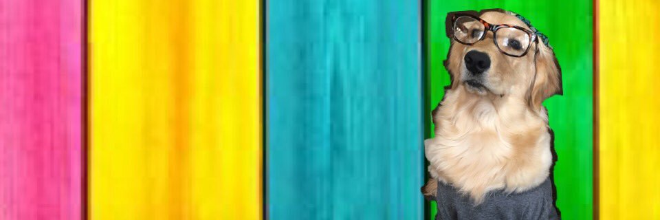 yuponyaaan's profile banner image