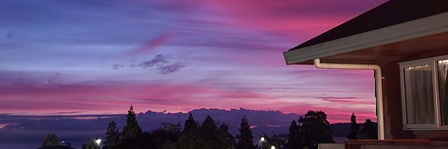 Raynedeer_'s profile banner image