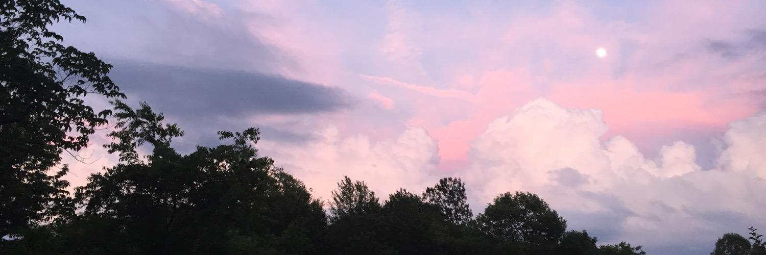 KKPickenpaugh's profile banner image