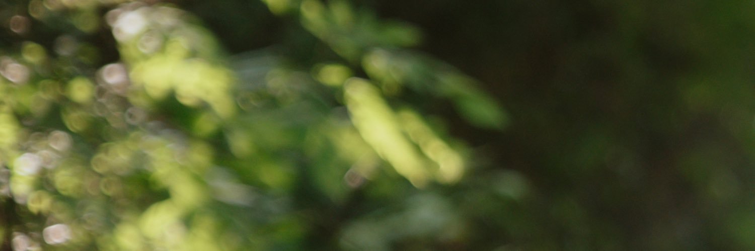 whitneycomms's profile banner image