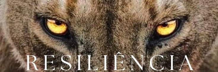 🎶Yeimi Uvalle 🤍🩰🌳 banner