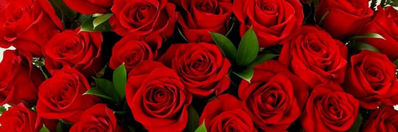 Jkapoor6's profile banner image