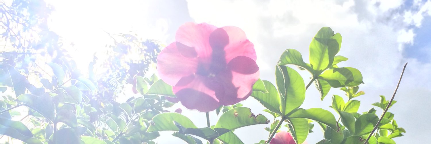 chloe_thomason's profile banner image