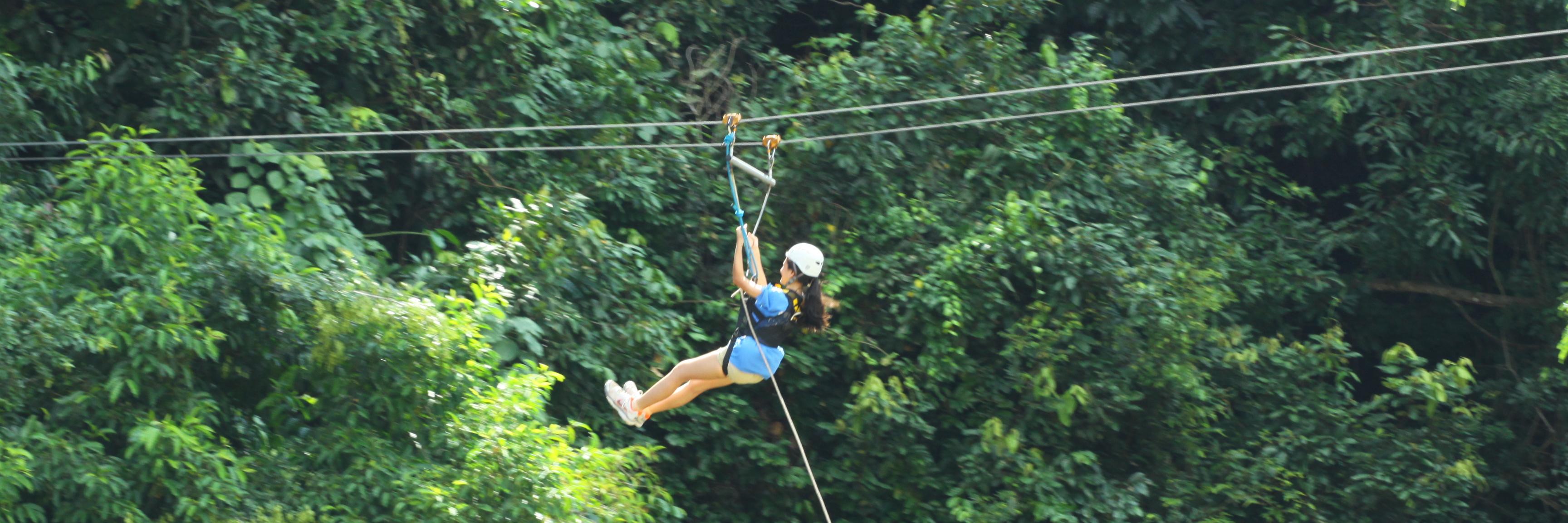 zipborneo's profile banner image
