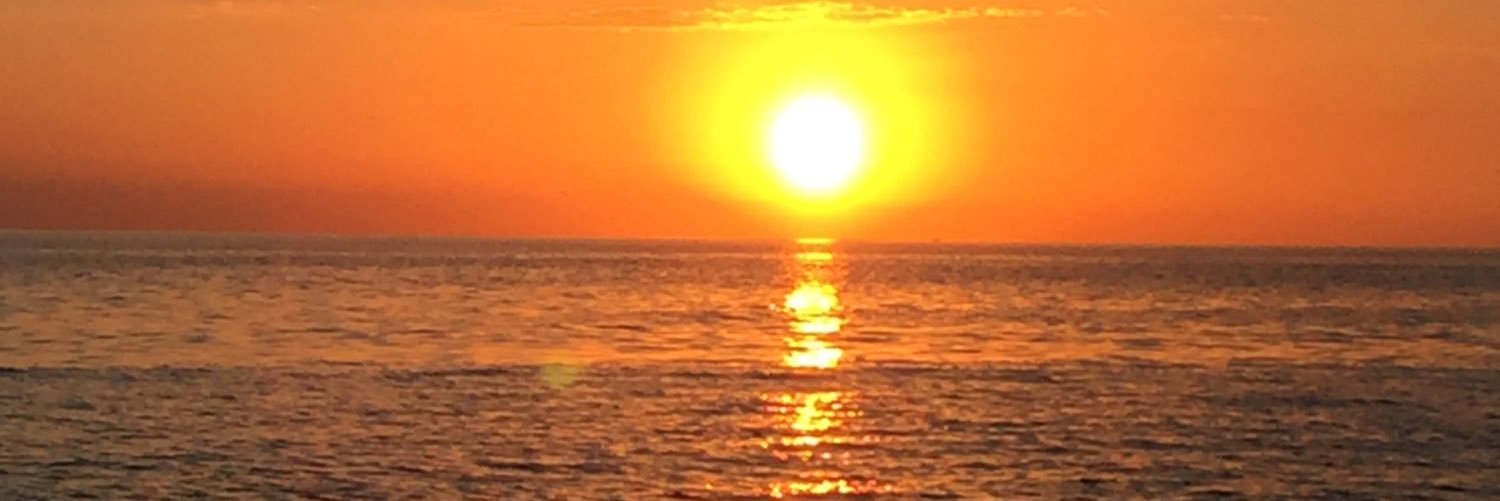 KellyBarbknecht's profile banner image