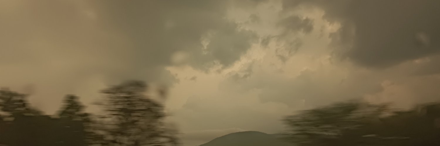 gringadasada's profile banner image