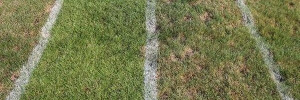 UConnTurfpath Profile Banner