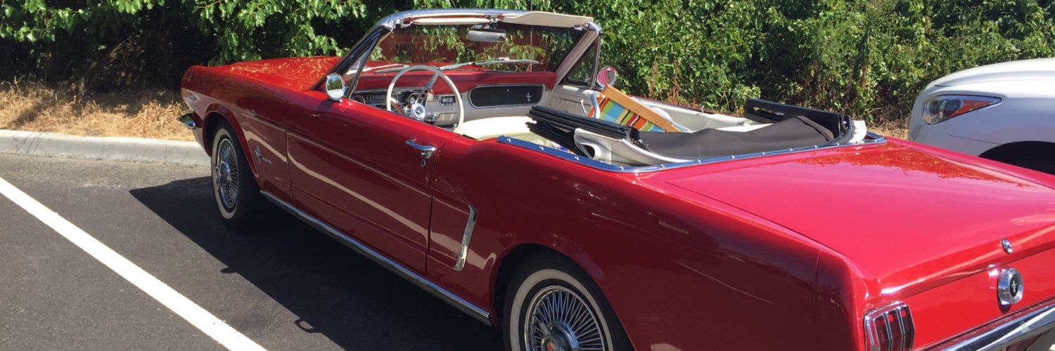 Jeanine Perrotta banner