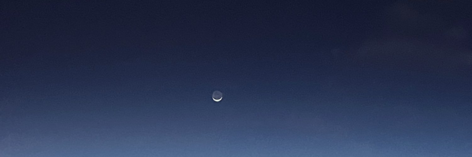 flikethebird's profile banner image