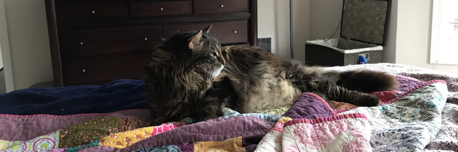 Amanda Berhenke banner