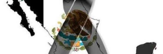 Ani la Fificonservadora 😌 banner