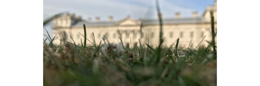 EiraNuCh's profile banner image