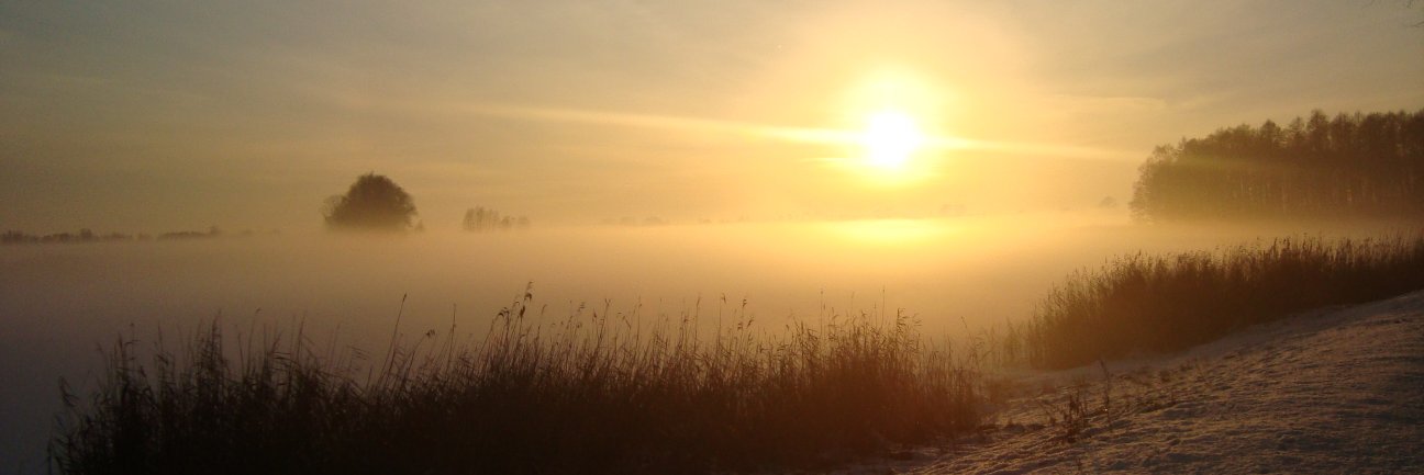 waldemar chalecki banner