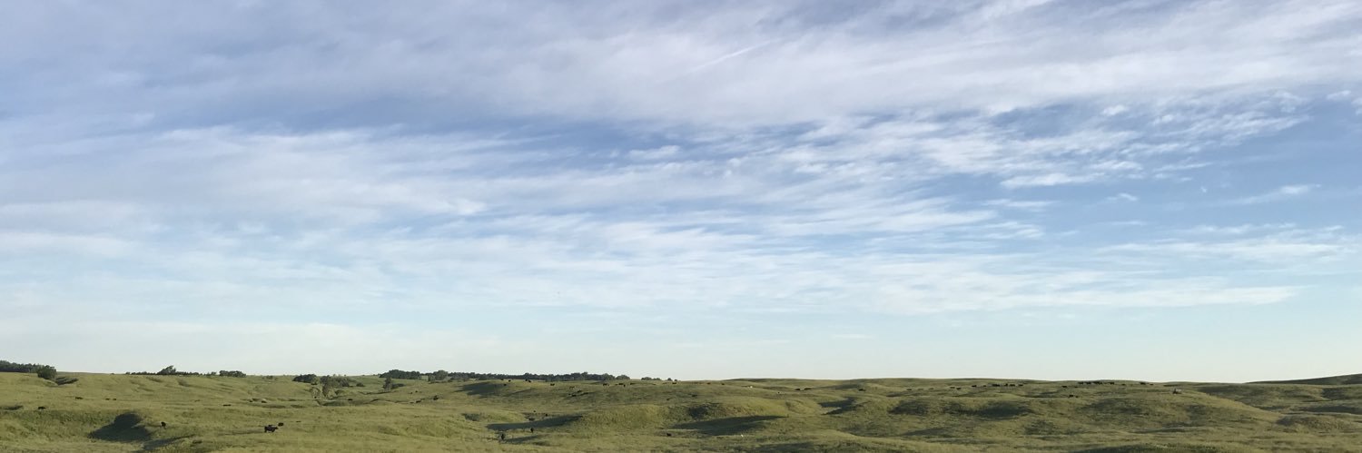 RenaeFinney's profile banner image