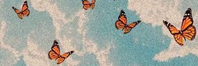 luucomisoo's profile banner image