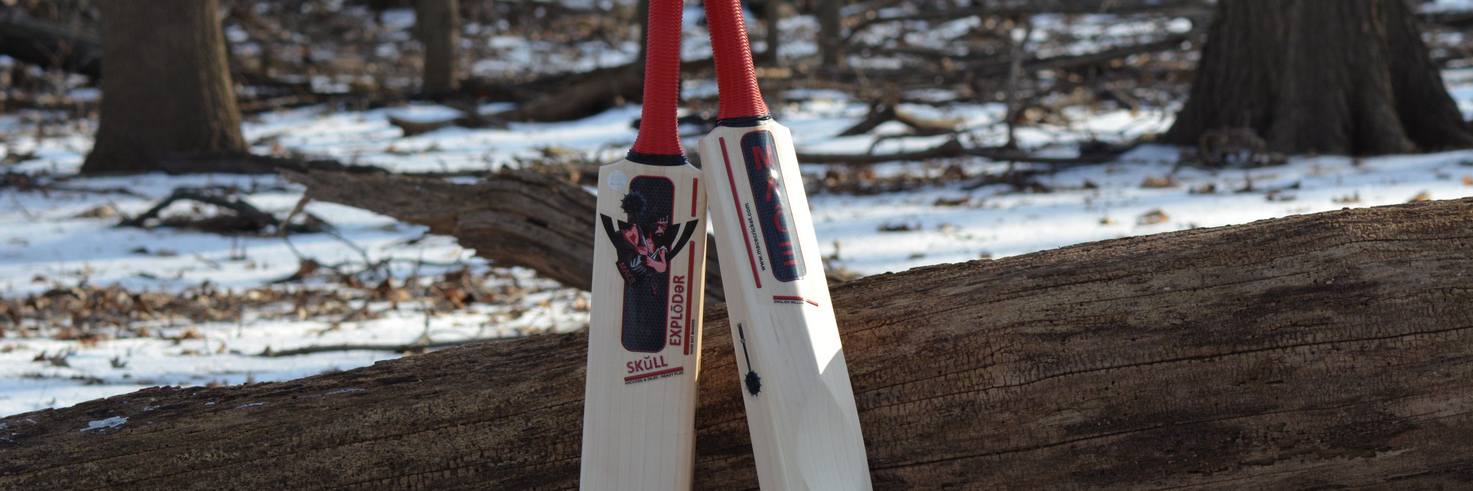 MaceCricket's profile banner image