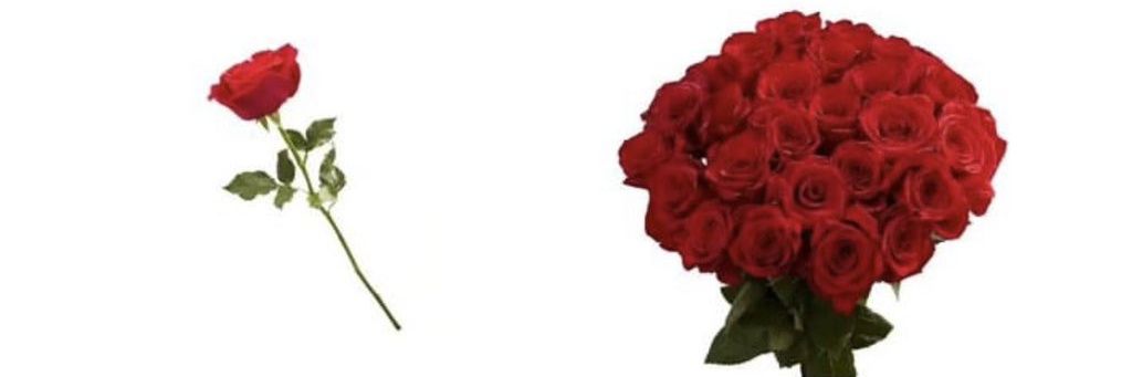 princessandmore's profile banner image