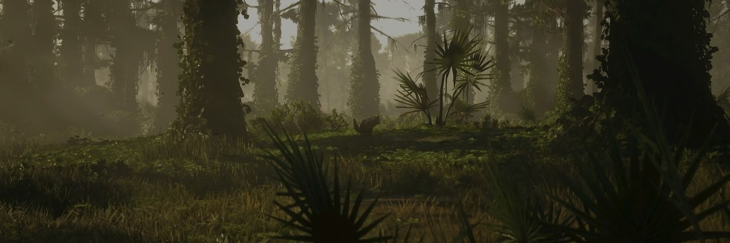Bellotak's profile banner image