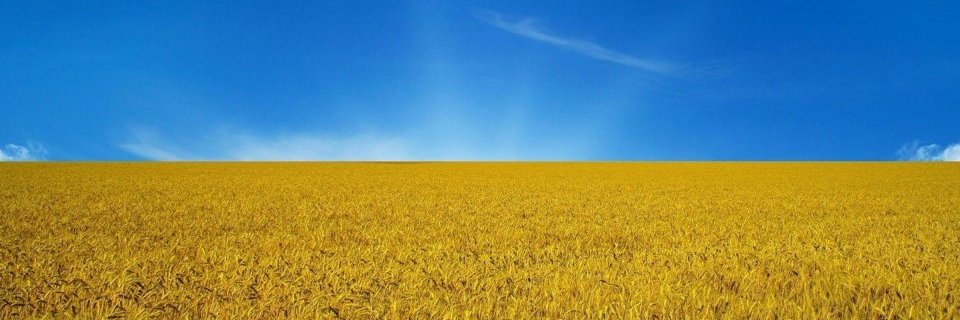 Bill (Vitaliy) Kleyman 🇺🇦 banner