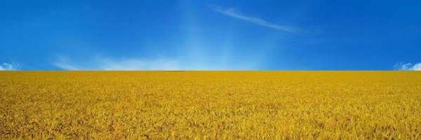 QuadStack Profile Banner