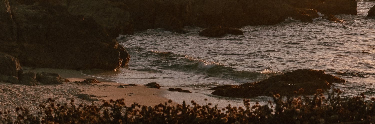 noaahdm's profile banner image